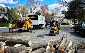 Lawn Grading and Leveling in North York, PA